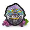 trehouse mushroom gummies sour grape