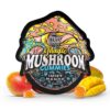 trehouse photo render mushroom gummies juicy mango fp jul 26 2023 1