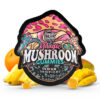 trehouse photo render mushroom gummies sour tropical fp nov 06 2023